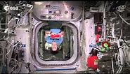 Towel day on the International Space Station