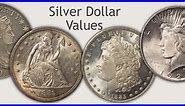 Morgan Silver Dollar Values | Discover Their Worth