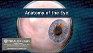 Anatomy of the Eye - Medical Animation