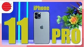 Đánh giá iPhone 11 Pro cuối 2023: VẪN RẤT TỐT, NHƯNG...!!