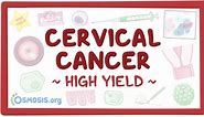 Cervical cancer: Pathology review: Video & Anatomy | Osmosis