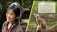 Cambridge University Graduate Turned Zookeeper: Sarah Chin | ZULA Features | EP 20