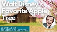 Walt Disney's Boyhood Farm and Beloved Wolf River Apple Trees