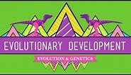 Evolutionary Development: Chicken Teeth - Crash Course Biology #17