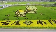 Rice Field Art in Japan!
