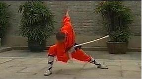 Shaolin Kung Fu weapon: breezing sword