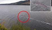 Clear new photo of 'Loch Ness monster' goes viral – but could be huge catfish