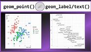Scatterplots in R with geom_point() and geom_text/label()