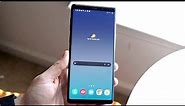 Samsung Galaxy Note 9 In Mid 2023! (Review)