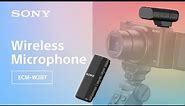 Introducing Wireless Microphone ECM-W2BT | Sony | Accessory