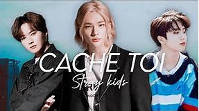 Cache toi - Stray Kids Fanfiction- Hyunjin X reader -Français