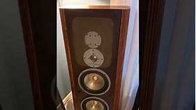 Vintage Infinity Speakers - rs-iiib Refurbish Outcome and Repair Materials