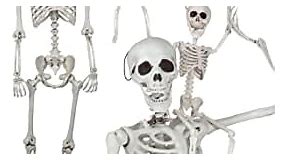 Posable Life Size Human Skeleton Family Set of 2 -Adult (5' 2")& Children (2')-Halloween Prop Indoor Outdoor Decorations w Bones- Fun & Educational Science Classroom