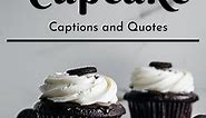 150  Cupcake Quotes and Caption Ideas for Instagram