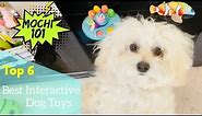 Best Interactive Dog Toys for Small Dogs 2022!