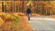 Fall foliage On the Pennsylvania Road
