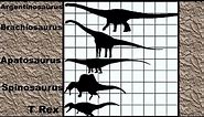 Dinosaur Size Comparison 2D