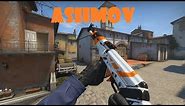 CS:GO - AK-47 | Asiimov Gameplay