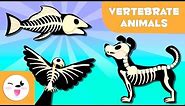 Vertebrate Animals for kids: Mammals, fish, birds, amphibians and reptiles