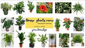 House plants name || Indoor plants name || Common house plants name || Easy English Learning