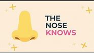 The Nose Knows: How Smell Triggers Memories
