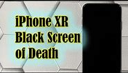How To Fix The iPhone XR Black Screen of Death Issue After iOS 14.2