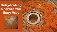 How to Dehydrate Carrots the Easy Way | Long Term Food Storage on a Budget
