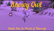 Snowy Owl - Battle Pet - Where to find it in World of Warcraft