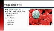 Phlebotomy Lesson 3.2 Blood Cells