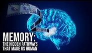 Memory: The Hidden Pathways That Make Us Human