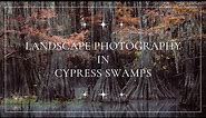 Cypress Swamp Photography
