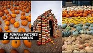 5 Pumpkin Patches to Visit Near Los Angeles in Southern California