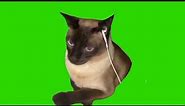 Cat listening to music meme green screen chroma key template