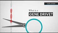What is a Gene Drive?