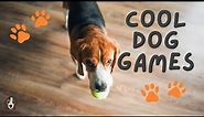 8 Cool Dog Games: Fun Activities For You And Your Pooch