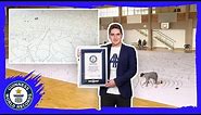 Largest drawing by an individual! - Guinness World Records