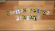 What are Transcription Factors?