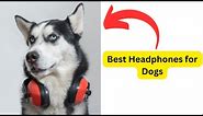 Best Headphones for Dogs