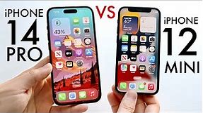 iPhone 14 Pro Vs iPhone 12 Mini! (Comparison) (Review)