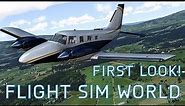 First Look at Flight Sim World (FSW) | Full Walkthrough