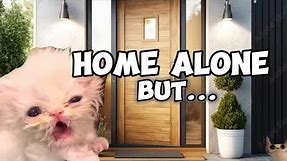 CAT MEMES: HOME ALONE BUT...