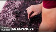 Why Tyrian Purple Dye Is So Expensive | So Expensive | Insider Business