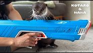 世界最強のウォーターガンにカワウソが大興奮！！ Otter Fired Up About Strongest Water Blaster Spyra Three!