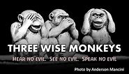 The Three Wise Monkeys (Hear no evil, See no evil, Speak no evil)
