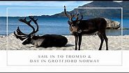 Tromso ~ Princess Cruises Land of the Midnight Sun Cruise July 2023