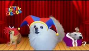 The Amazing Digital Circus Dog Version