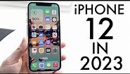 IPhone 12 In 2023! (Still Worth Buying?) (Review)