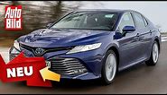 Toyota Camry (2020): Neuvorstellung - Design - Limousine