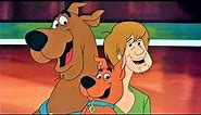Scooby Doo And Scrappy Doo: Basketball Bumblers 1982