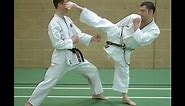 Karate Head Kicks